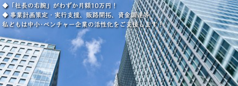 成功報酬型資金調達サポート、売上拡大に直結Ｗｅｂコンサルティング、ベストマッチングＭ＆Ａアドバイザリー